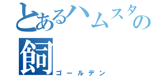 とあるハムスターの飼（ゴールデン）