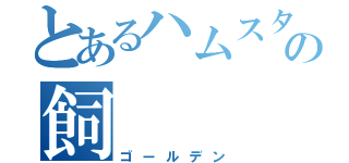 とあるハムスターの飼（ゴールデン）