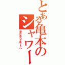 とある亀本のシャワー終わり（潮の流れが良くない）