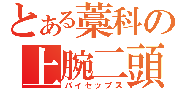 とある藁科の上腕二頭筋（バイセップス）