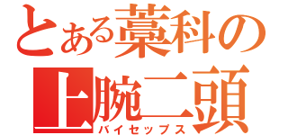 とある藁科の上腕二頭筋（バイセップス）