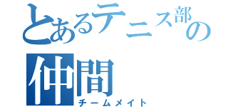 とあるテニス部の仲間（チームメイト）