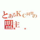 とあるＫＣ同盟の盟主（殲滅）