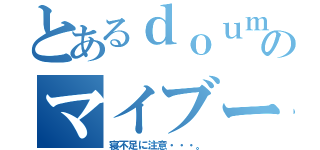 とあるｄｏｕｍｕのマイブーム（寝不足に注意・・・。）