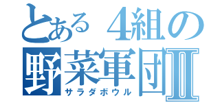 とある４組の野菜軍団Ⅱ（サラダボウル）