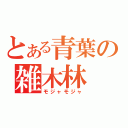 とある青葉の雑木林（モジャモジャ）