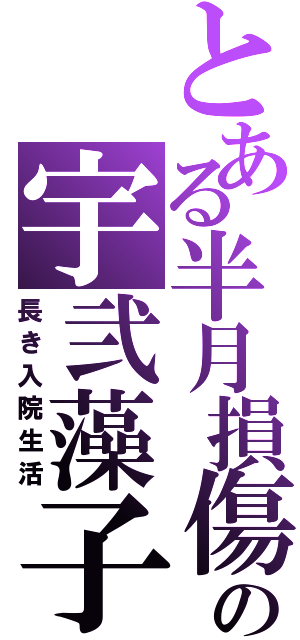 とある半月損傷の宇弐藻子Ⅱ（長き入院生活）