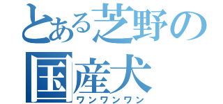 とある芝野の国産犬（ワンワンワン）