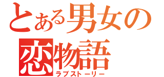 とある男女の恋物語（ラブストーリー）