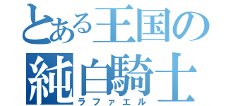 とある王国の純白騎士（ラファエル）