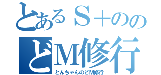 とあるＳ＋ののどＭ修行（とんちゃんのどＭ修行）