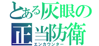 とある灰眼の正当防衛（エンカウンター）