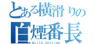 とある横滑りの白煙番長（ＢＬＩＴＺ ＳＫＹＬＩＮＥ）