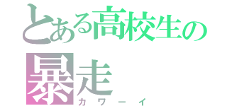 とある高校生の暴走（カワーイ）