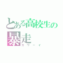 とある高校生の暴走（カワーイ）