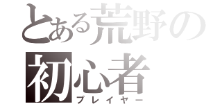 とある荒野の初心者（プレイヤー）