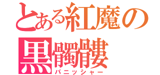 とある紅魔の黒髑髏（パニッシャー）