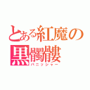 とある紅魔の黒髑髏（パニッシャー）