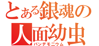 とある銀魂の人面幼虫（パンデモ二ウム）