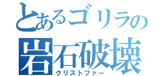 とあるゴリラの岩石破壊（クリストファー）