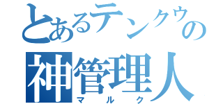 とあるテンクウシティの神管理人（マルク）