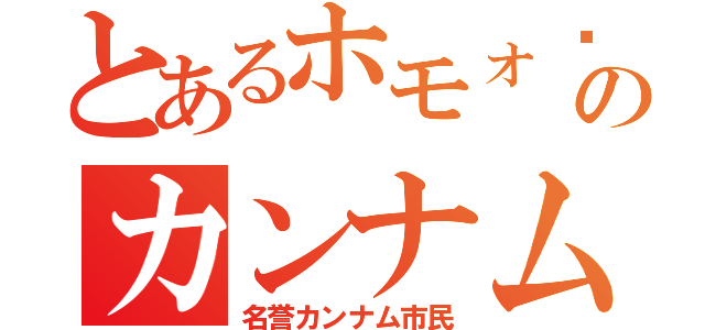 とあるホモォ〜のカンナム市民（名誉カンナム市民）