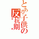 とある子供の反抗期（成長）