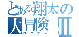 とある翔太の大冒険！Ⅱ（ロクサス）