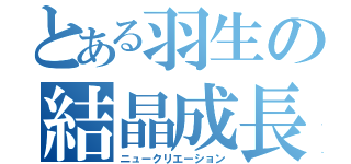 とある羽生の結晶成長（ニュークリエーション）