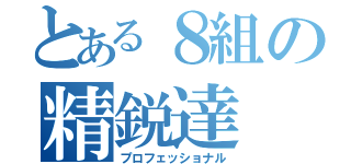 とある８組の精鋭達（プロフェッショナル）