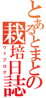 とあるとまとの栽培日誌（ウェブログ）