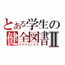 とある学生の健全図書Ⅱ（マグナムックス）