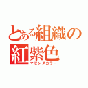 とある組織の紅紫色（マゼンダカラー）