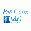 とあるＣＳＯの神反応（ニート廃人）