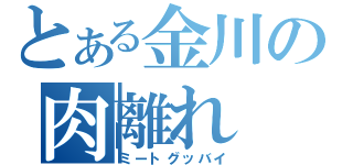 とある金川の肉離れ（ミートグッバイ）