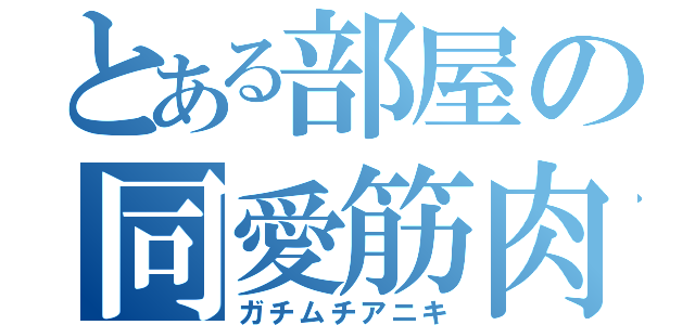 とある部屋の同愛筋肉（ガチムチアニキ）