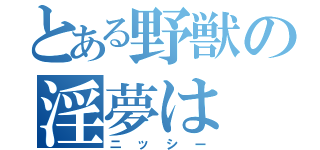 とある野獣の淫夢は（ニッシー）