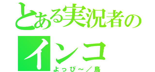 とある実況者のインコ（よっぴ～／鳥）