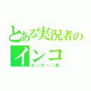 とある実況者のインコ（よっぴ～／鳥）