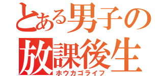 とある男子の放課後生活（ホウカゴライフ）