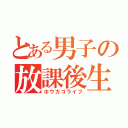 とある男子の放課後生活（ホウカゴライフ）