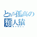 とある孤高の類人猿（きゃわにし）