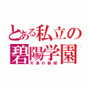 とある私立の碧陽学園（天選の聖域）