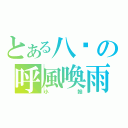 とある八嘎の呼風喚雨（小翰）