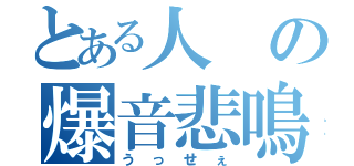 とある人の爆音悲鳴（うっせぇ）