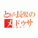 とある長髪のメドゥサ（小桜まり）