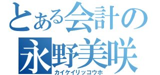 とある会計の永野美咲（カイケイリッコウホ）