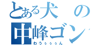 とある犬の中峰ゴン（わうぅぅぅん）