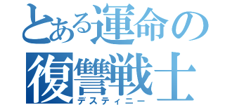 とある運命の復讐戦士（デスティニー）