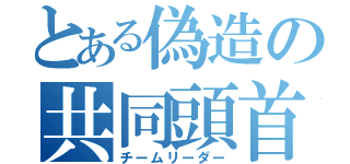 とある偽造の共同頭首（チームリーダー）